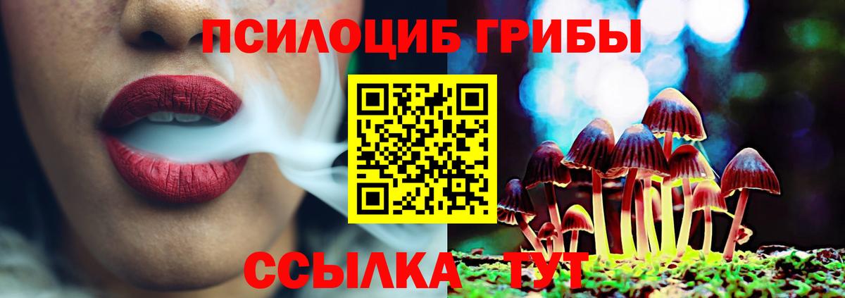 Белая Калитва  Галлюциногенные грибы Psilocybine cubensis  Вход с VPN 